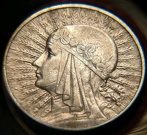 4829 polen polska zloty - 4829),